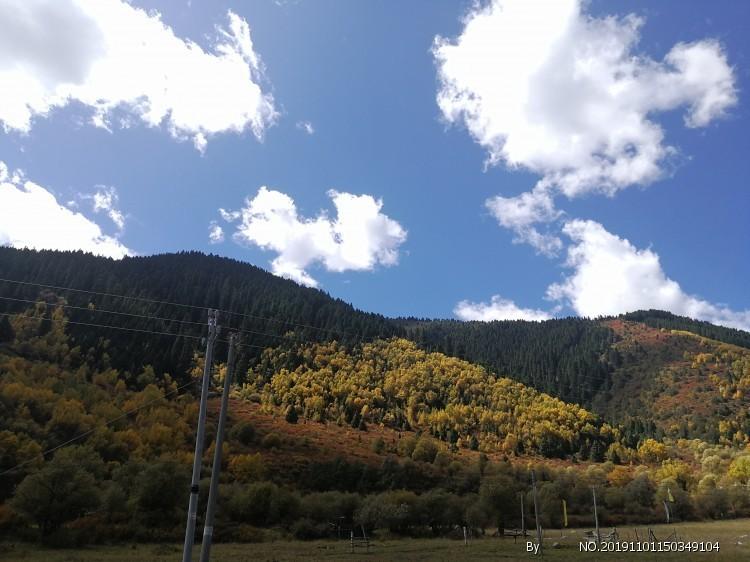 农村电视机顶盒怎么交费怎么交?知识星球-专注知识分享,打造学习与成长的平台