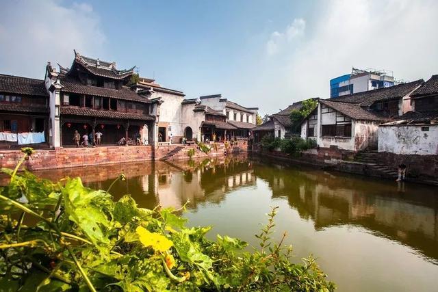 没网电脑上怎么下载植物大战僵尸原版